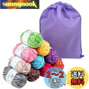 LIHAO 毛糸 アクリル 50g±2g玉巻(約160m) 全10色 段染タイプ カラフル 棒針キャップ かぎ針 段数メーカー 収納袋付き 編み物道具 クリスマ...