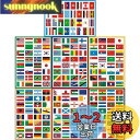 LUCKYBEE 世界の国旗 224枚 シール ステッカー トラベル旅行ステッカー スーツケース/ギター/車/バイク/自転車/ヘルメット/パソコン/携帯/ノート A4 異なる 7PCSセット