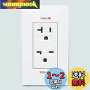 パナソニック(Panasonic) 埋込100・200V併用接地コンセント 15・20A兼用 マットホワイト WTL1923WK