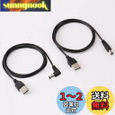 Basicest 5.5 2.1 USB DC 変換 ケーブル (2本セット L型 通常) 外径5.5mm内径2.1mm 電源供給