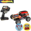 RC1/16スケール マッドスタイルシリーズ リザード