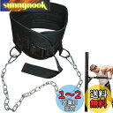 Smilerain 懸垂 ベルト 加重ベルト ディプスベルト ディッピングベルト トレーニングベルト 耐久性 付け心地が良い チェーンの長さ調節できる 丈夫で使...