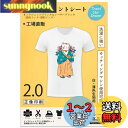 TransOurDream 真正の転写シート アイロンプリントシート2.0 正像印刷 白?薄色生地用 A4 20枚 プリントシート 転写紙Tシャツ転写シート 熱転写シート 洗濯に強い JP-2-20