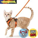 Rabbitgoo 猫 ハーネス リード セット 犬猫兼用 超小型犬 小型犬 抜けない ソフト胸あて 軽量 足を上げず装着完成 サイズ調節可 夜反射 通気メッシ...