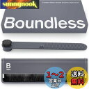 Boundless Audioレコードクリーナー - 2点セットのレコードクリーナーセットにはレコード用ブラシ&レコード針クリーナー付き - カーボンファイバー製の静電気防止レコード用ブラシ&針用ブラシ