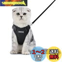 Rabbitgoo 猫 ハーネス リード セット 小型犬 犬猫兼用 抜けない はーねす ソフト胸あて 軽量 足を上げず装着完成 サイズ調節可 ネコ 散歩 紐 夜...