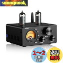 AIYIMA T9 Bluetooth 5.0 100W*2チューブアンプ 2.0チャンネル 真空管 USB DACステレオHiFiホームオーディオデジタルアンプ RCA/COA/Opt/PC-USB、VUメータ付き
