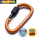TITECOUGO アウトドア カラビナ おしゃれ 登山 小型 アルミ Dフック 頑丈 ネジロック バンジーコード ブランコ hammocks ハンモックテント ?キャンプ 用品 キーホルダー 釣り ハイキング ペット karabina オレンジ 1個