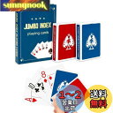 Fanwer 2デッキ トランプ カード ジャンボインデックス 大きな数字の見やすいトランプ 高齢者 視力障害 低視力 ポーカー サイズ 赤 青セット