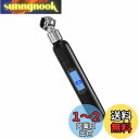 AWELTEC ミニタイプエアケージ デジタル式 最高測定値995KPA 米式バルブ対応 自動車/オートバイ/自転車/トラックなど LCDバックライト 空気圧計 タイヤ空気圧の測定 取扱説明書(日本語)付き