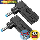 ACアダプター 変換プラグ 2個 HP専用 USB C入力 DC 4.5×3.0mm 変換アダプター PD充電器用 Type C タイプC変換プラグ ヒューレットパッカード ノートパソコン用 wuernine