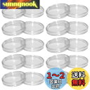 LOYELEY コイン ケース カプセル コインホルダー 内径27mm 20個セット 保護 透明 プラスチック コインケース クリアケース コレクション 記念 ...