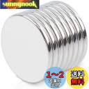 20 mm x 2 mm 丸型 超強力マグネット 小型 強力磁石 円盤 ネオジム磁石 永久強希土類磁石 ホワイトボード 乾拭板 冷蔵庫 オフィス 工芸品 モデル...
