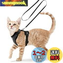 Rabbitgoo 猫 ハーネス リード セット 小型犬 犬猫兼用 抜けない はーねす ソフト胸あて 軽量 足を上げず装着完成 サイズ調節可 ネコ 散歩 紐 夜...