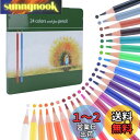 【送料無料】色鉛筆 Ninonly 油性色鉛筆 24色 大人の塗り絵 落書き 素描 ?画 デザイン プロ専用 芸術家 初学者 子供用 入園・入学お祝い 文房具 ...
