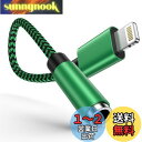 Ocbuo iPhone 変換アダプタ イヤホン ジャック Lightning - 3.5mm イヤホン 変換ケーブル MFi認証 イヤホン・ヘッドホンアダプター ライトニング 3.5mm 変換 音量調節/音楽対応iPhone14/13/12/11/iPadなど対応 0.18m