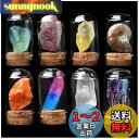 HIGHAWK岩石標本 天然石 ガラスカバー 鉱石 防塵 置物 オーナメント 展示 標本ボックス コレクション 地質科学 装飾品 小物(8セットC)