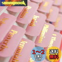 VANRA 聖書のタブ 女性用 ピンク 聖書ジャーナリング用品 聖書インデックスタブ 96枚 英語 再利用可能 聖書研究 空白の粘着タブ付き お母様/娘/女の子...