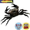 mamota 文鎮 蟹 置物 カニ 風水 伝統工芸 金運 茶道具 真鍮 置物 民芸品 繊細 細密 彫刻 車内 招福 商売繁盛 筆置き インテリア