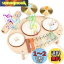 【送料無料】ドラムセット 子供 モンテッソーリ 玩具 楽器 おもちゃ 木琴 おもちゃ 木のおもちゃ 打楽器 赤ちゃん 玩具 1 2 3 4 5 歳誕生日プレゼント女の子 男の子 早期開発 指先の知育 クリスマスプレゼント 子供