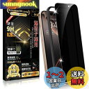 Boiyiklonn iPhone 16 Pro ガラスフィルム 覗き見防止 iPhone 16 プロ フィルム のぞき見防止 【プライバシー保護/ガイド枠付き...