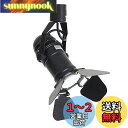 Dotoy ダクトレール用 スポットライト E11 LED電球付き 黒 ダクトレール LED電球 E11 60W形相当 昼光色 6W 600lm ライティングバ...