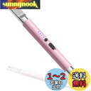 GORMLHO プラズマ ライター 電子 電気 usb ライター 小型 充電式 BBQ お墓参り マルチカラー