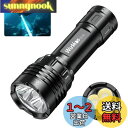 Wurkkos DL30 ダイビングライト LED 懐中電灯 水中ライト 潜水可能 3600ルーメン 超高輝度 USB充電式 90CRI LH351D×3搭載 IPX-8防水 水中100Mまで使用可