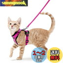 Rabbitgoo 猫 ハーネス リード セット 抜けない 猫用ハーネス ソフト軽量 犬猫兼用 超小型犬 小型犬 散歩 災害避難 はーねす りーど 足を上げず装...