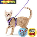 Rabbitgoo 猫 ハーネス リード セット 抜けない ソフト胸あて 軽量 超小型犬 小型犬 猫 散歩 用 ハーネス 胴輪 足を上げず装着完成 サイズ調節可...