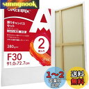 AUREUO 張りキャンバス セット F30 (91.0cmX72.7cm) 中目 100%コットン 2枚 初心者 絵画用具 芸術絵創作 現代油絵 美術装飾 水...