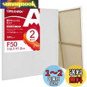AUREUO 張りキャンバス セット F50 (116.7cmX91cm) 中目 100%コットン 2枚 初心者 絵画用具 芸術絵創作 現代油絵 美術装飾 水彩...