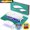 ISTOYO レジン用 UVライト 48W 大型 2波長 UVレジンライト ポータブル UVランプ 樹脂硬化用 UVレジンキット レジン用品 UVレジン ジュエリー作り DIY クラフト 2個 ホワイト
