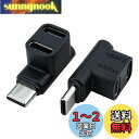 Leehitech USB C 分岐アダプター 10Gbps データ転送 直角 L字型 USB C オス to (USB 2.0 C メス+ USB 3.1 C メス) 1 to 2 分岐変換アダプター 100W/5A 充電電力 4K@60Hzの超クリアな投影 Steam Deck、Switch、ラップトップ、タブレット、電話 等対応 (2個セット)