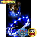 Looking 犬光る首輪 首輪 犬 散歩 ライト 高輝度 防水型 軽量 やわらかい 光る首輪 視認距離400m USB 充電式 夜 サイズ調整可能 ペット 夜間 安全 お散歩 猫 小型犬 中型犬 大型犬 LED発光首輪 ブルー