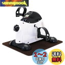 PROIRON フィットネスバイク エクササイズ 静音 小型 サイクリング サイクルマシン ミニバイク 腕・脚用 有酸素運動 ダイエット リハビリ 高齢者運動グッズ 座ったまま 自宅用 運動器具