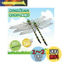 QINGLUAN オニヤンマ君 虫除け トンボモデル 16cm リアル 鬼やんま君 蜂よけ 玄関 バルコニー ハイキング キャンプ 登山 釣り ゴルフ インテリ...