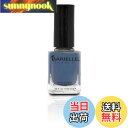 【送料無料】BARIELLE バリエル スレート アフェアズ 13.3ml Slate Of Affairs 5075 New York 【正規輸入店】 色:ス...