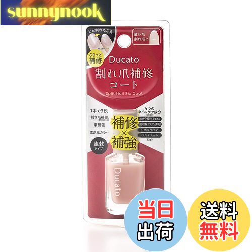 ̵ۥǥ奫ȳ佤 Ducato ١