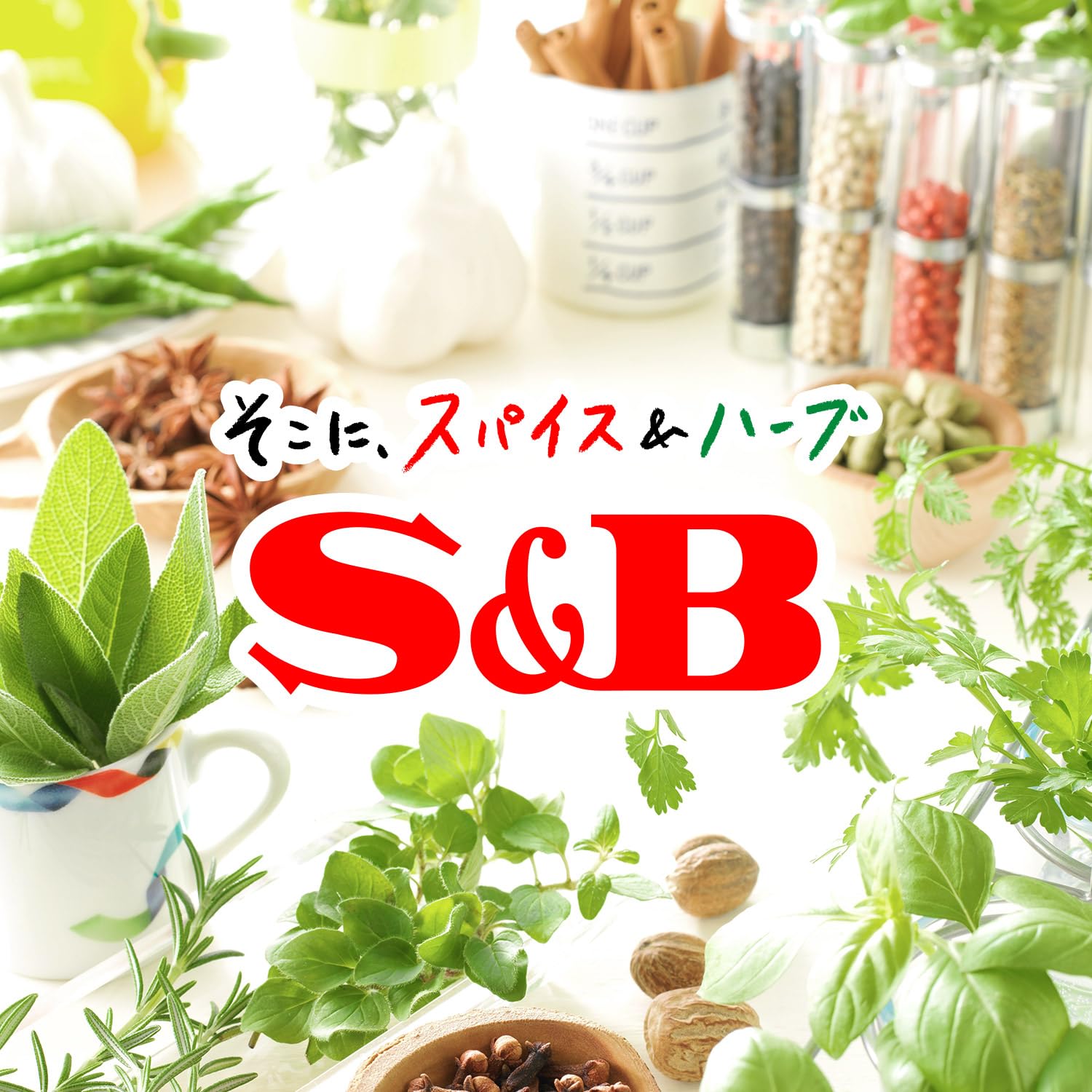 【送料無料】【レンジ対応】エスビー食品 噂の名店 クリーミーバターチキンカレー 180g