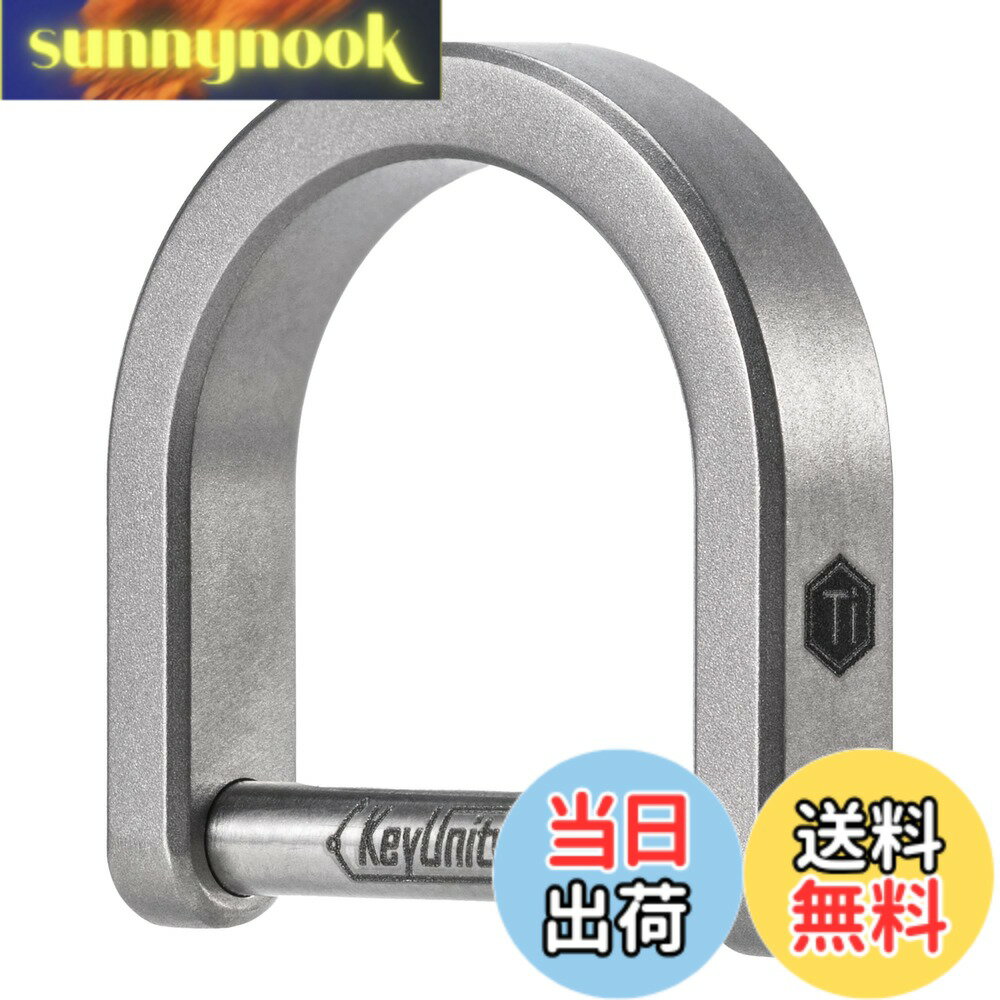 乐天商城 - 【送料無料】[KeyUnity] Dカン ネジ式 23mm KA17 dリング チタン シルバー 小型 軽量 錆びない キーリング d型 鍵 紛失防止 キーホルダー 金具 ハンドメイド 手芸 アクセサリーパーツ