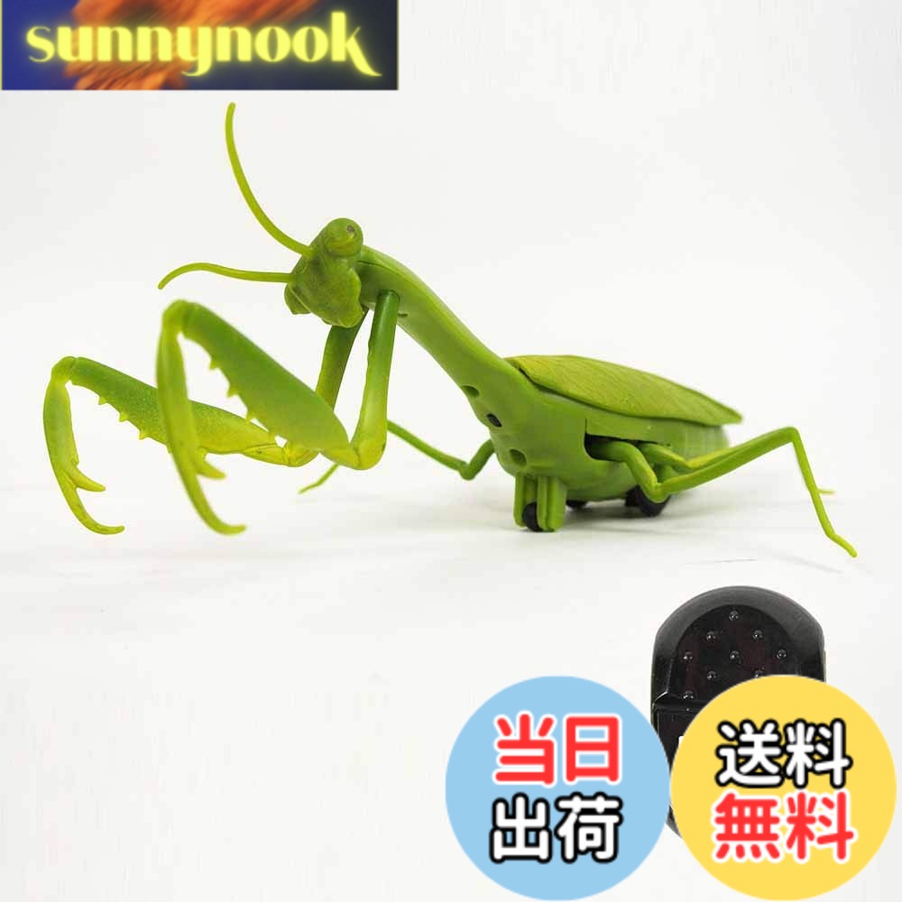 【送料無料】カマキリ ラジコン Mantis Radio Controlled