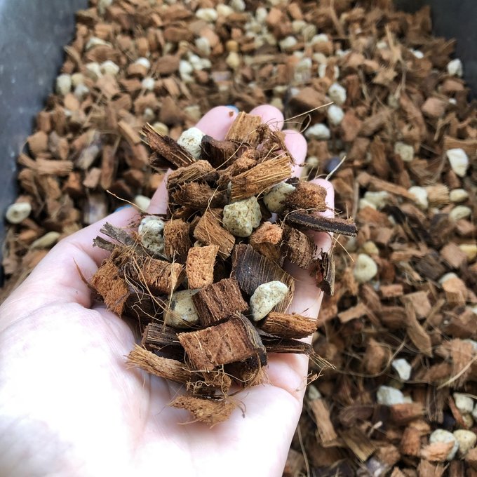 【話題の“ねこチップLサイズ”】★ 1袋2リットル 植物が大きく育つ 土 ガーデニング