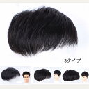 総手植えウィッグ メンズウィッグ男性用 耐熱ウィッグ 自然人毛 3タイプ メンズかつら インテリウィッグ 日常用 ウィッグ 療用かつら dp234c0c0x0
