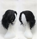メンズ ミディアムウルフ ウィッグ かつら 男性用かつら 黒 カールウィッグ 人工毛ウィッグ コスプレウィッグ COS パーティー イベント コスプレ dp24...