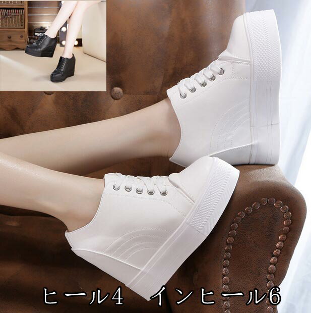 ҡ륹ˡ 塼 쥷塼  ˡ ҡͭ ǥ 奢 ֥å ۥ磻di127d3d3x...