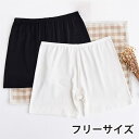 ペチパンツ インナーパンツ ペチコート ブラック ホワイト ショートパンツ レディース 女性 下着 薄手 黒 白 無地 シンプル インナー ショート ペチパン ...