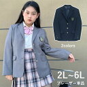 ブレザー単品 2L~6L 大きいサイズ スクールブレザー 制服 ブレザー 女の子 ジャケット レディース 女子高生 学生服 3つボタン 通学 JK制服 高校生 学生 学校 学園祭 文化祭 仮装 コスプレ 入学スーツ スクール制服 JKds515d7d7sa