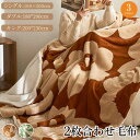 毛布 シングル ダブル 大判 あったか 暖かい 秋冬 シープ ボア ブランケット 冬用 ふわふわ もこもこ 吸湿発熱 マイクロファイバー 掛け毛布 洗える おし...