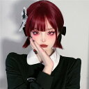 ウィッグ レディース フルウィッグ ロリータ ゴスロリ コスチューム ぱっつん前髪 前髪あり 可愛い かわいい 大人用 コスプレ 原宿風 仮装 超自然 かつら wig Lolita 小顔 文化祭 イベント 学園祭 ハロウィンla114g4g4x0